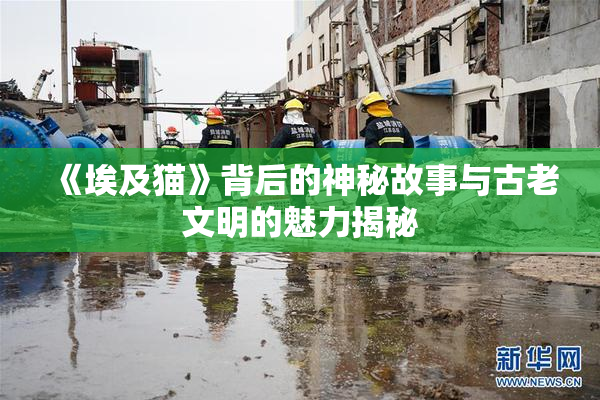 《埃及猫》背后的神秘故事与古老文明的魅力揭秘