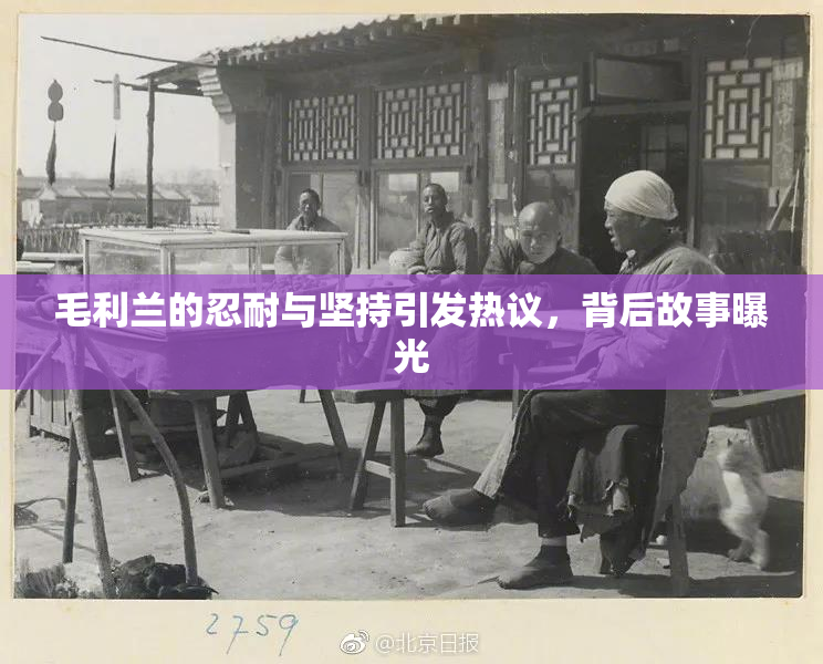 毛利兰的忍耐与坚持引发热议，背后故事曝光
