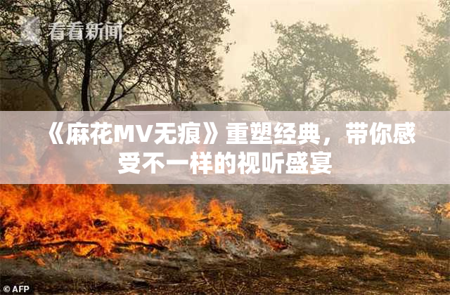《麻花MV无痕》重塑经典，带你感受不一样的视听盛宴