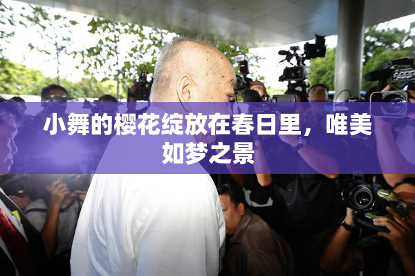 小舞的樱花绽放在春日里，唯美如梦之景