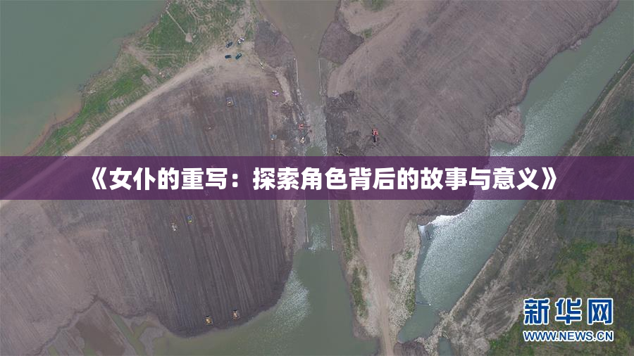 《女仆的重写：探索角色背后的故事与意义》