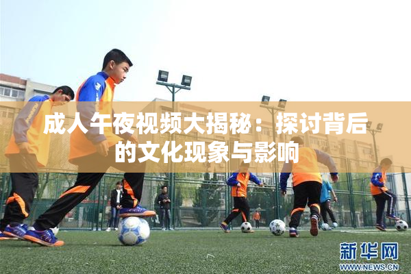 成人午夜视频大揭秘：探讨背后的文化现象与影响