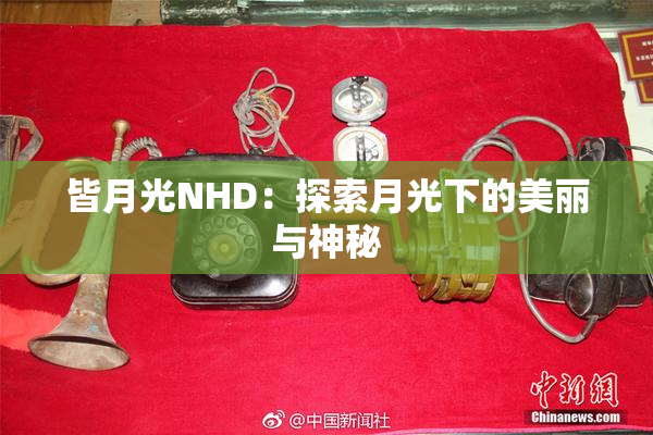 皆月光NHD：探索月光下的美丽与神秘