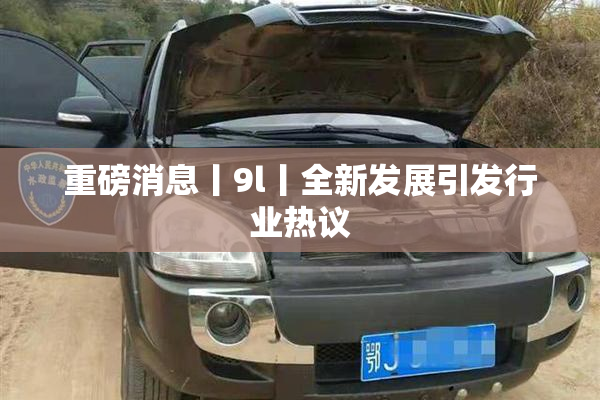 重磅消息丨9l丨全新发展引发行业热议