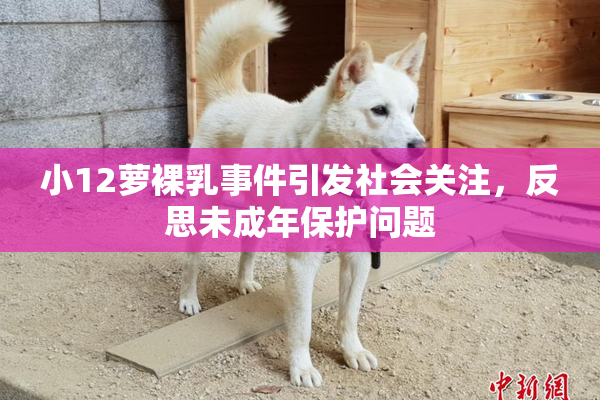 小12萝裸乳事件引发社会关注，反思未成年保护问题