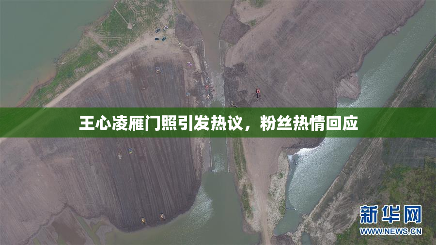 王心凌雁门照引发热议，粉丝热情回应