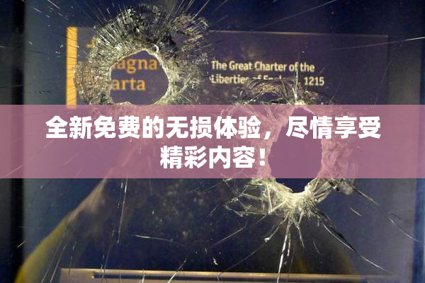 全新免费的无损体验，尽情享受精彩内容！