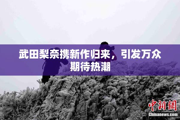 武田梨奈携新作归来，引发万众期待热潮