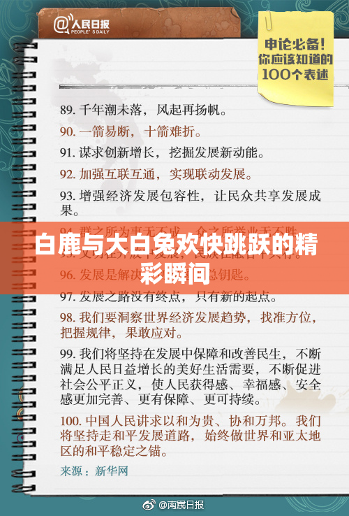 白鹿与大白兔欢快跳跃的精彩瞬间