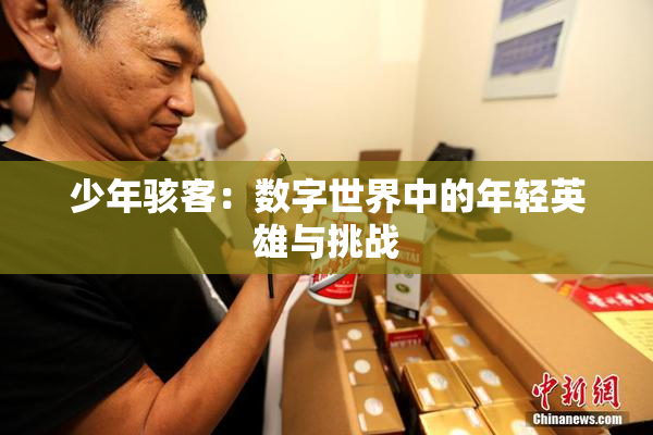 少年骇客：数字世界中的年轻英雄与挑战