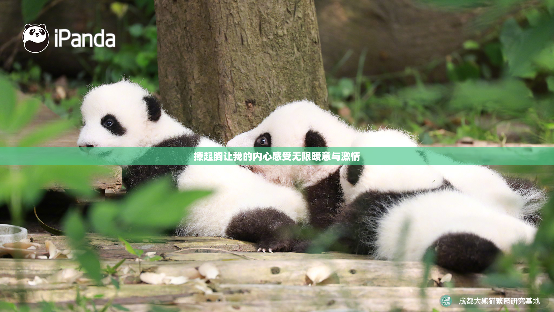 撩起胸让我的内心感受无限暖意与激情