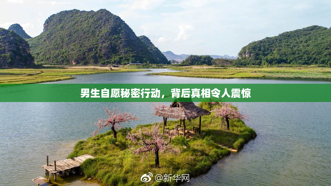 男生自愿秘密行动，背后真相令人震惊