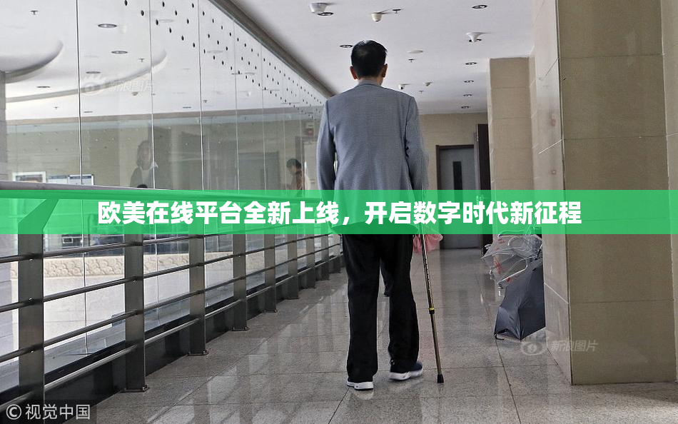 欧美在线平台全新上线，开启数字时代新征程