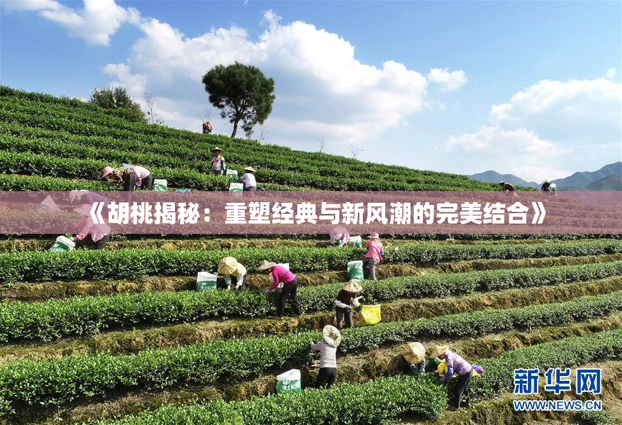 《胡桃揭秘：重塑经典与新风潮的完美结合》