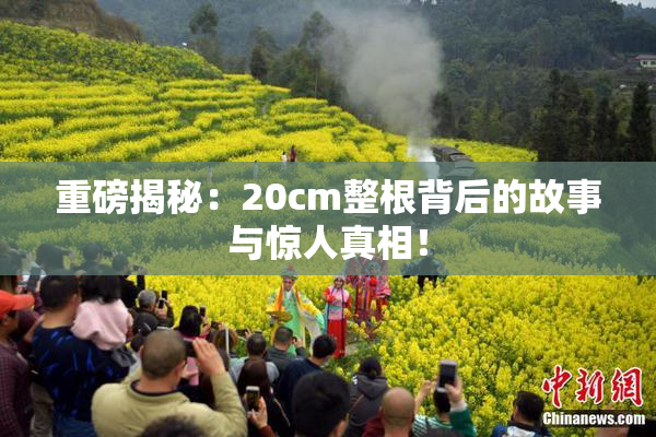重磅揭秘：20cm整根背后的故事与惊人真相！