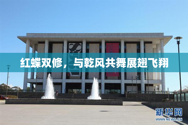 红蝶双修，与乾风共舞展翅飞翔