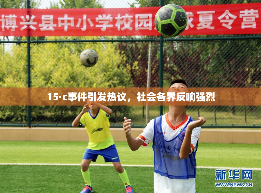 15·c事件引发热议，社会各界反响强烈