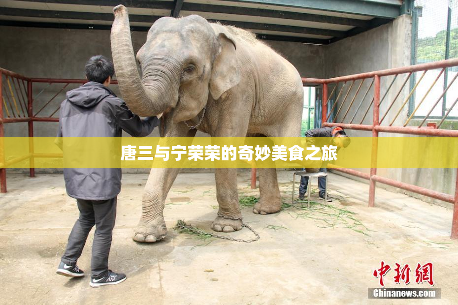唐三与宁荣荣的奇妙美食之旅