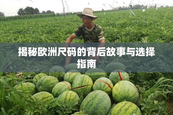 揭秘欧洲尺码的背后故事与选择指南