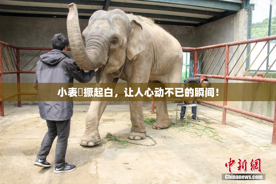小表妺撅起白，让人心动不已的瞬间！