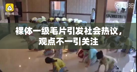 裸体一级毛片引发社会热议，观点不一引关注