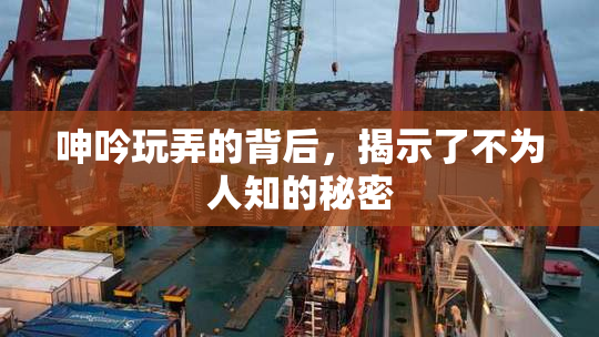 呻吟玩弄的背后，揭示了不为人知的秘密