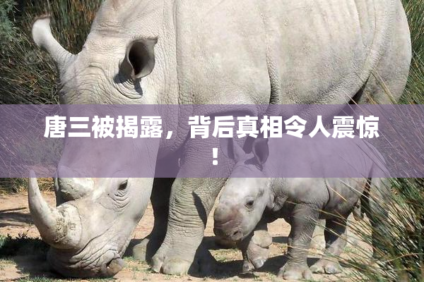 唐三被揭露，背后真相令人震惊！
