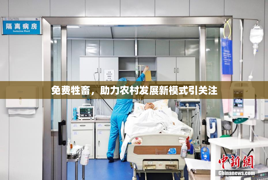 免费牲畜，助力农村发展新模式引关注