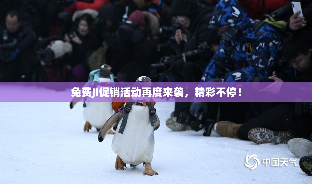 免费JI促销活动再度来袭，精彩不停！
