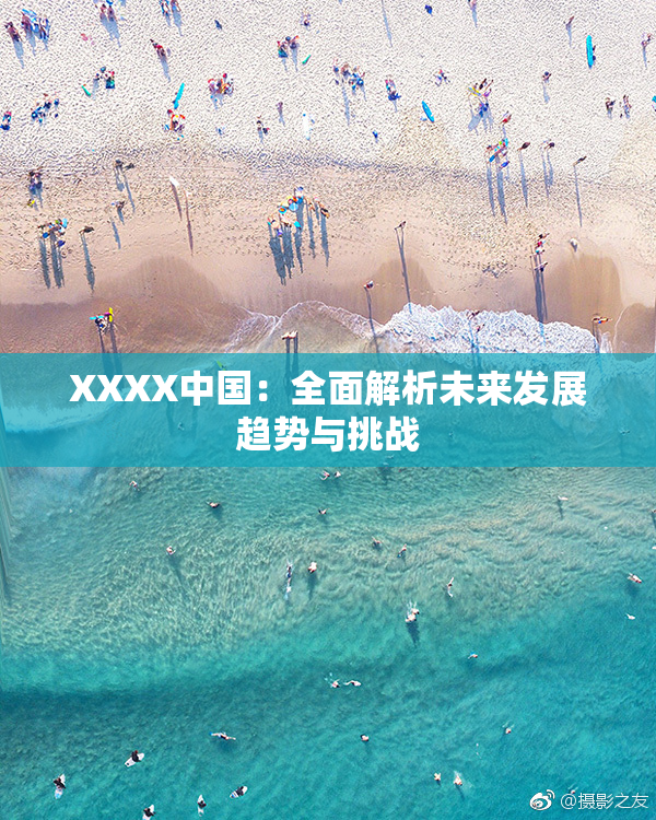 XXXX中国：全面解析未来发展趋势与挑战