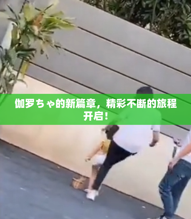 伽罗ちゃ的新篇章，精彩不断的旅程开启！