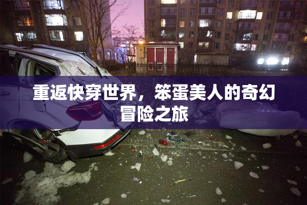 重返快穿世界，笨蛋美人的奇幻冒险之旅