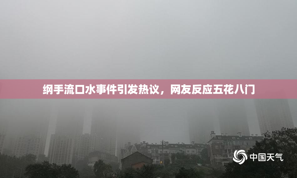 纲手流口水事件引发热议，网友反应五花八门