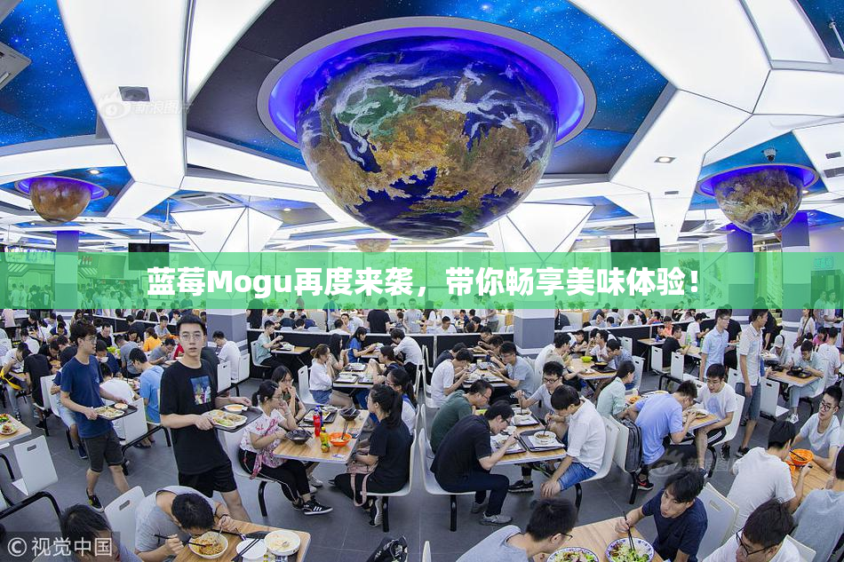 蓝莓Mogu再度来袭，带你畅享美味体验！