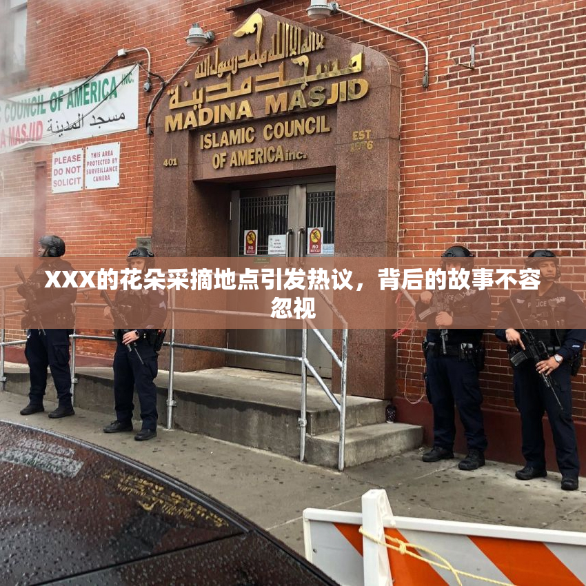 XXX的花朵采摘地点引发热议，背后的故事不容忽视