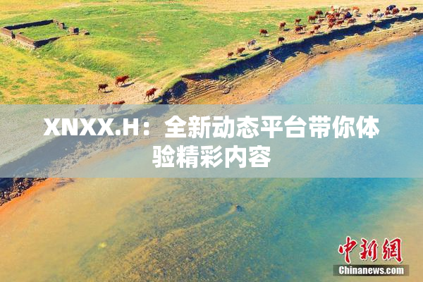 XNXX.H：全新动态平台带你体验精彩内容