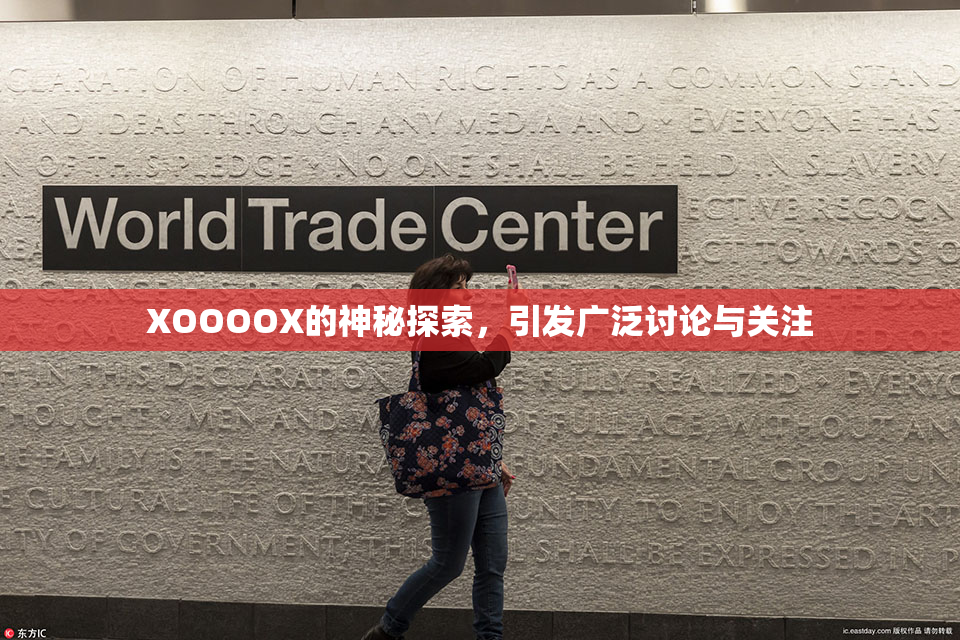 XOOOOX的神秘探索，引发广泛讨论与关注