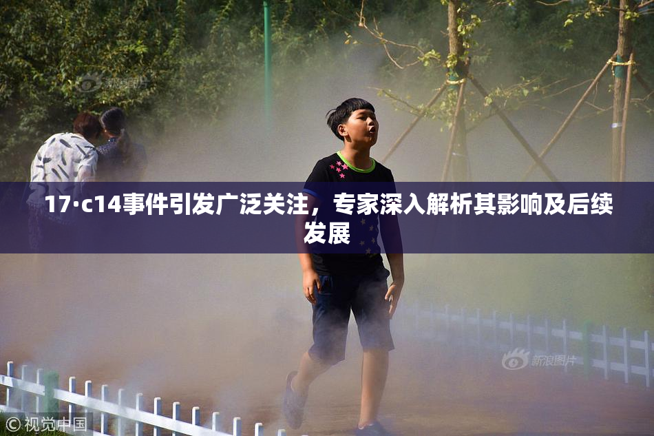 17·c14事件引发广泛关注，专家深入解析其影响及后续发展
