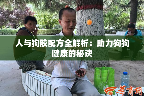 人与狗胶配方全解析：助力狗狗健康的秘诀