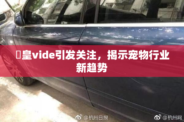 嘼皇vide引发关注，揭示宠物行业新趋势