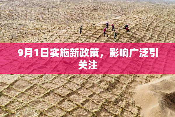 9月1日实施新政策，影响广泛引关注