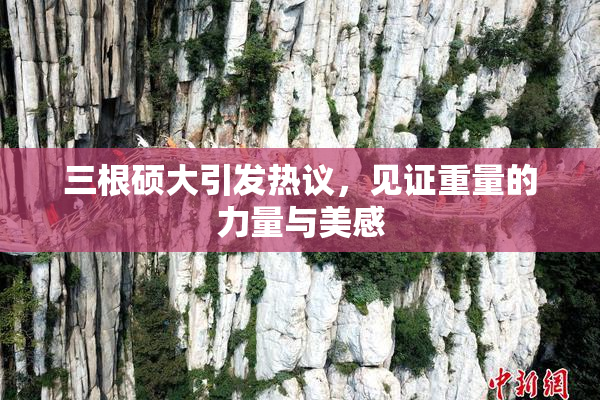 三根硕大引发热议，见证重量的力量与美感