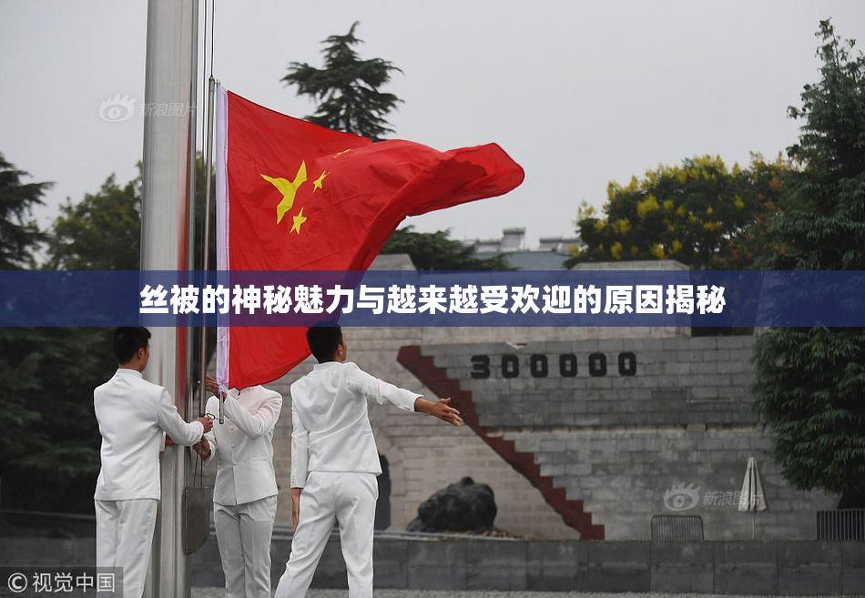 丝被的神秘魅力与越来越受欢迎的原因揭秘