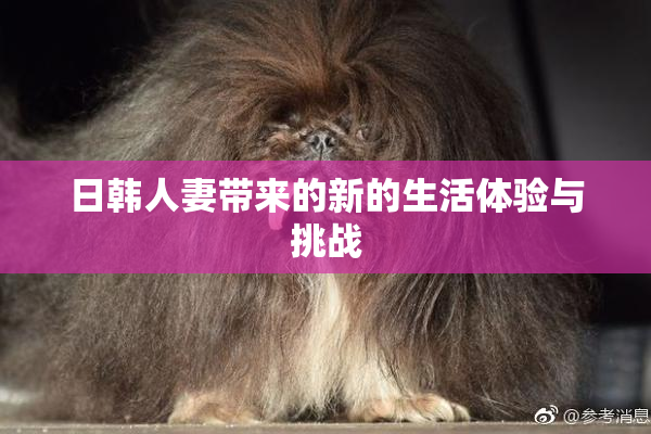日韩人妻带来的新的生活体验与挑战