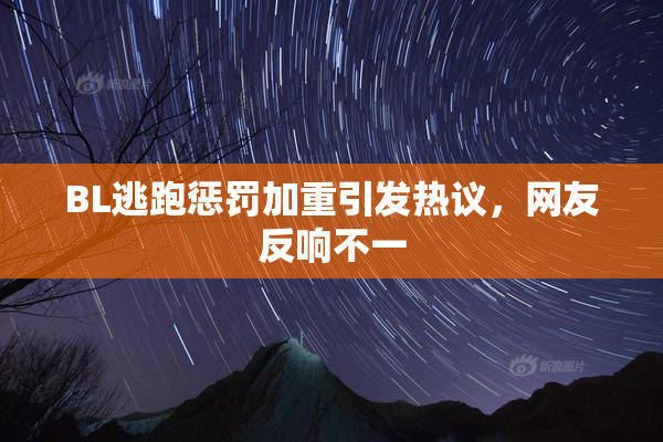 BL逃跑惩罚加重引发热议，网友反响不一