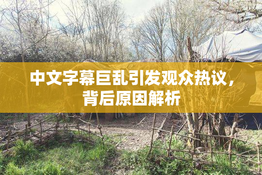 中文字幕巨乱引发观众热议，背后原因解析