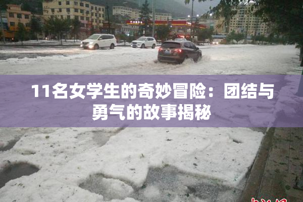 11名女学生的奇妙冒险：团结与勇气的故事揭秘