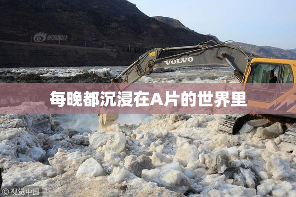 每晚都沉浸在A片的世界里