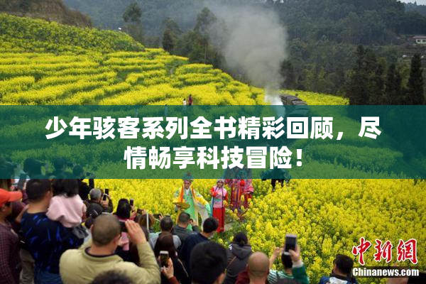 少年骇客系列全书精彩回顾，尽情畅享科技冒险！