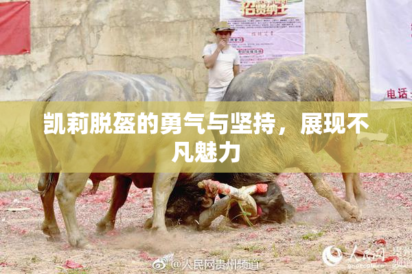 凯莉脱盔的勇气与坚持，展现不凡魅力